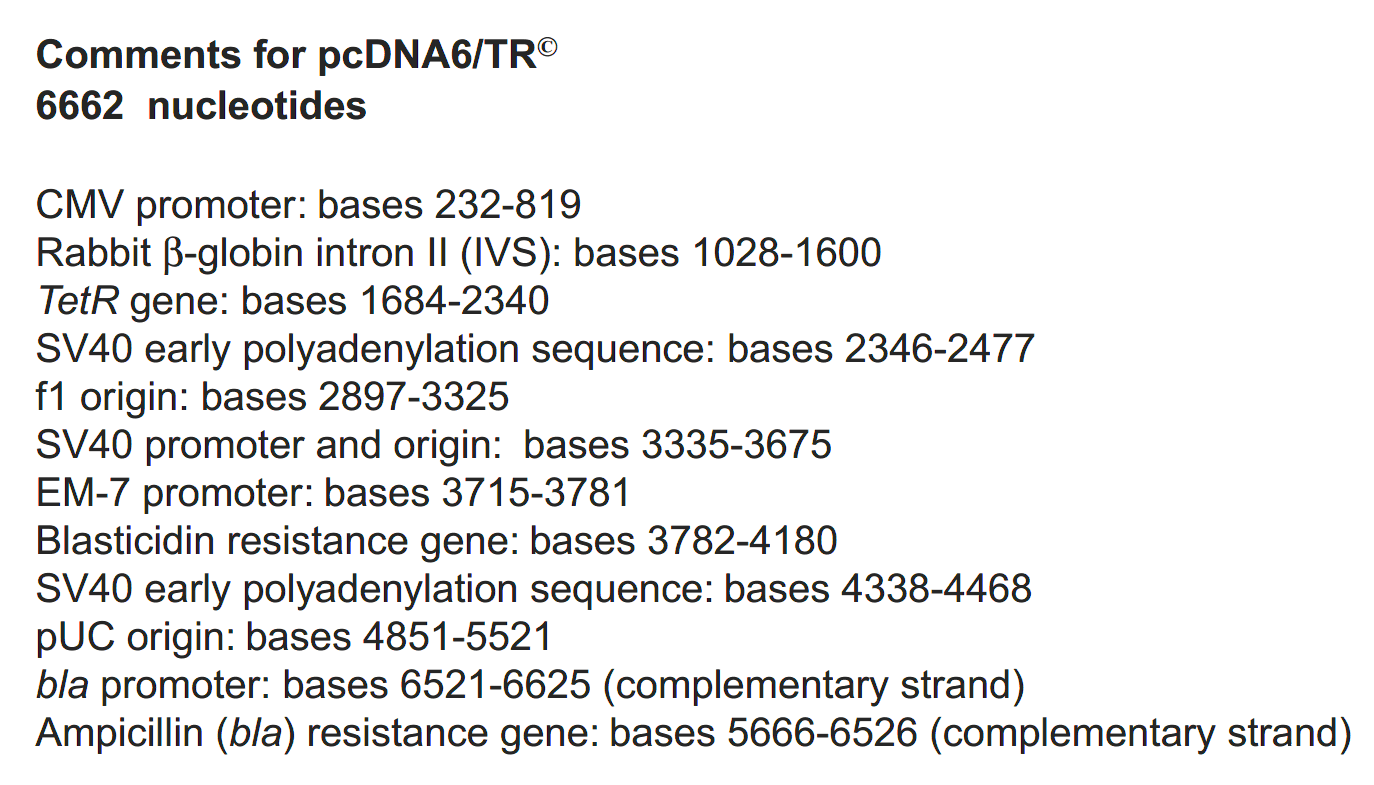 pcDNA6-TR 载体特征